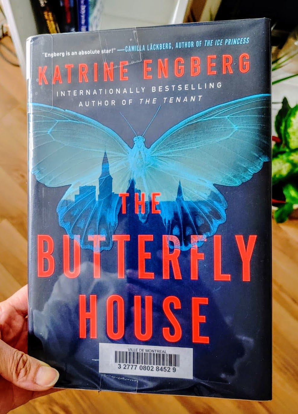 the butterfly house