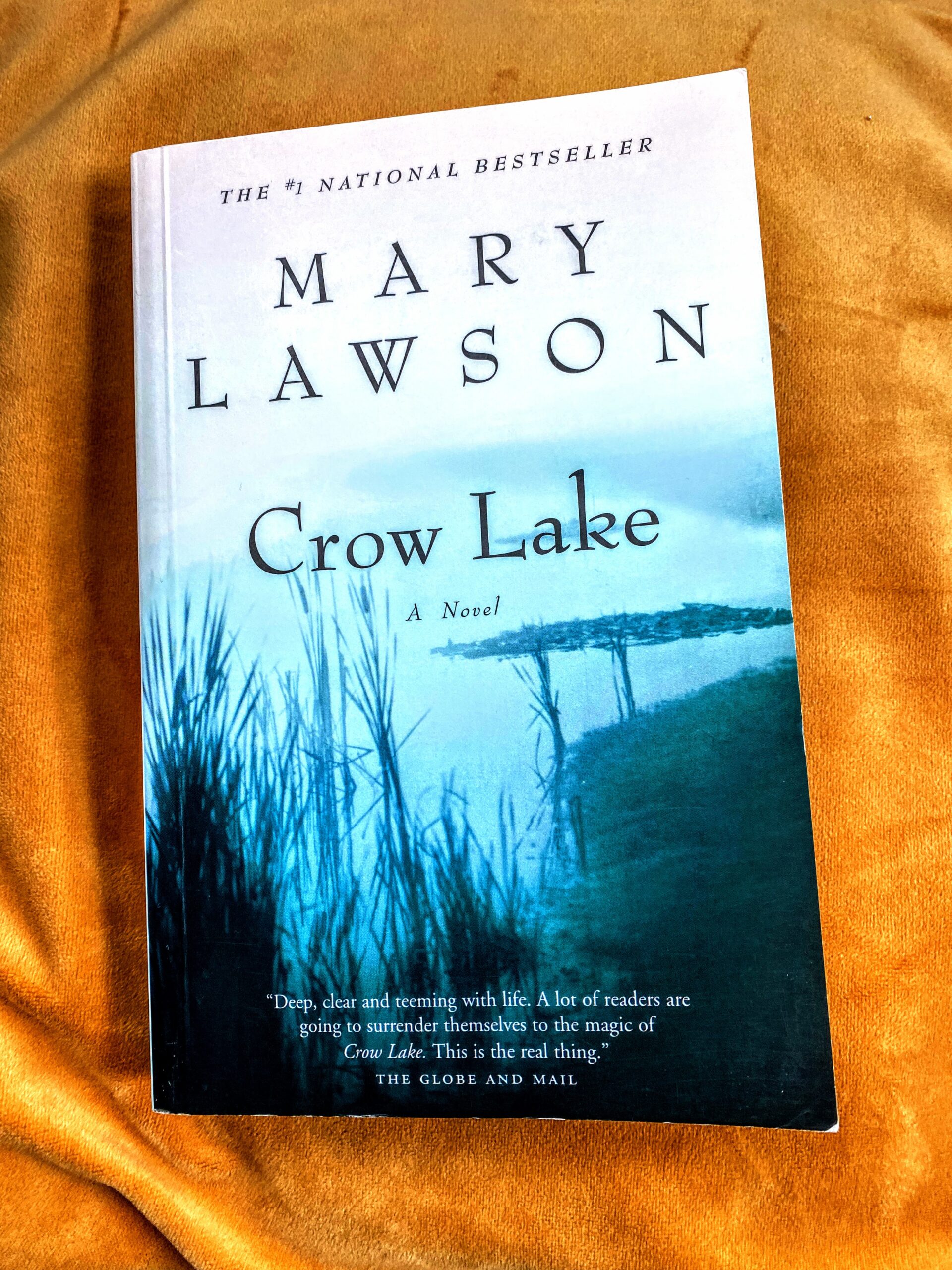 crow lake by mary lawson