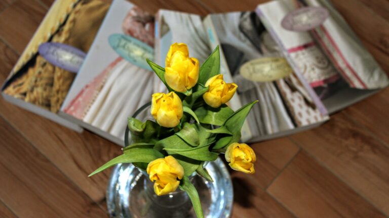 yellow tulips with jane austen books